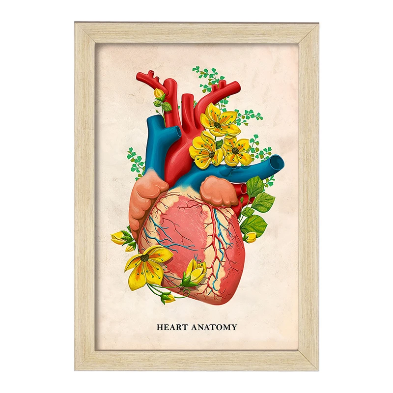 تابلو خندالو طرح آناتومی قلب (Heart Anatomy) کد F14016