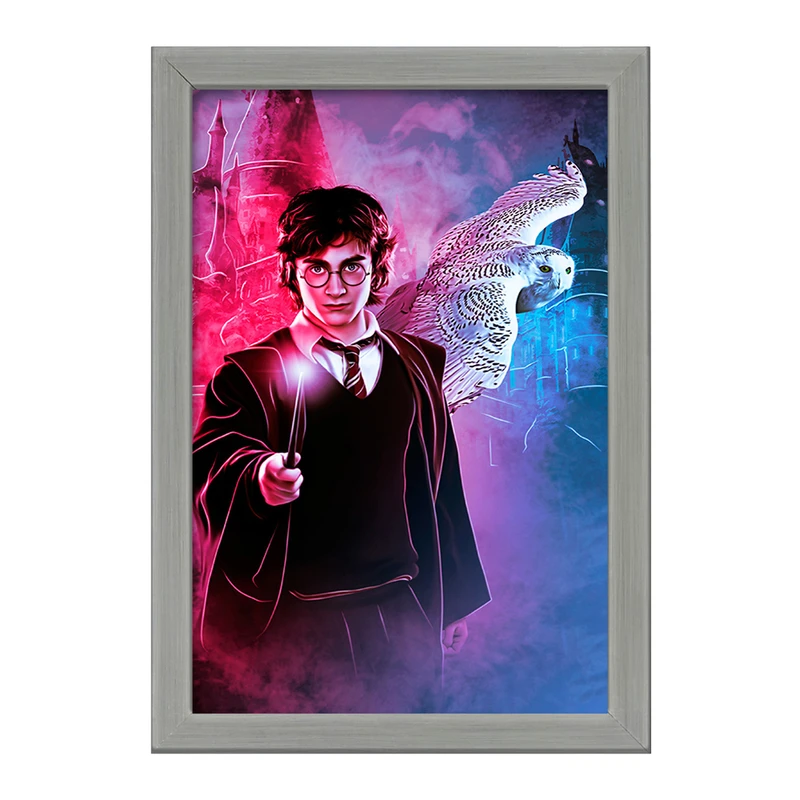 تابلو خندالو طرح هری پاتر (Harry Potter) کد F850