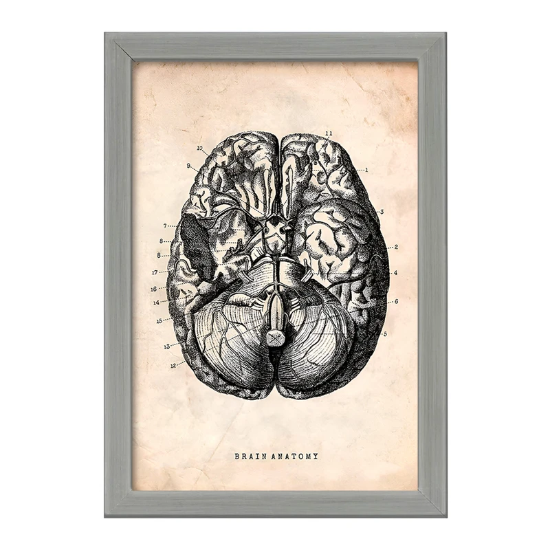 تابلو خندالو طرح آناتومی مغز (Brain Anatomy) کد F13946