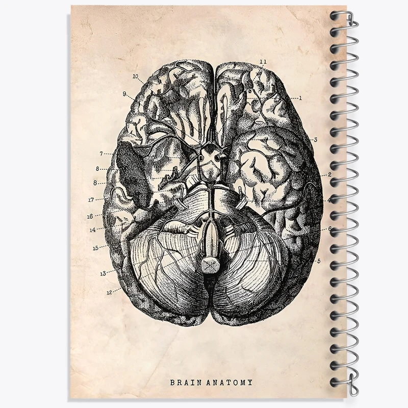 دفتر شطرنجی 50 برگ خندالو طرح آناتومی مغز (Brain Anatomy) کد F13946