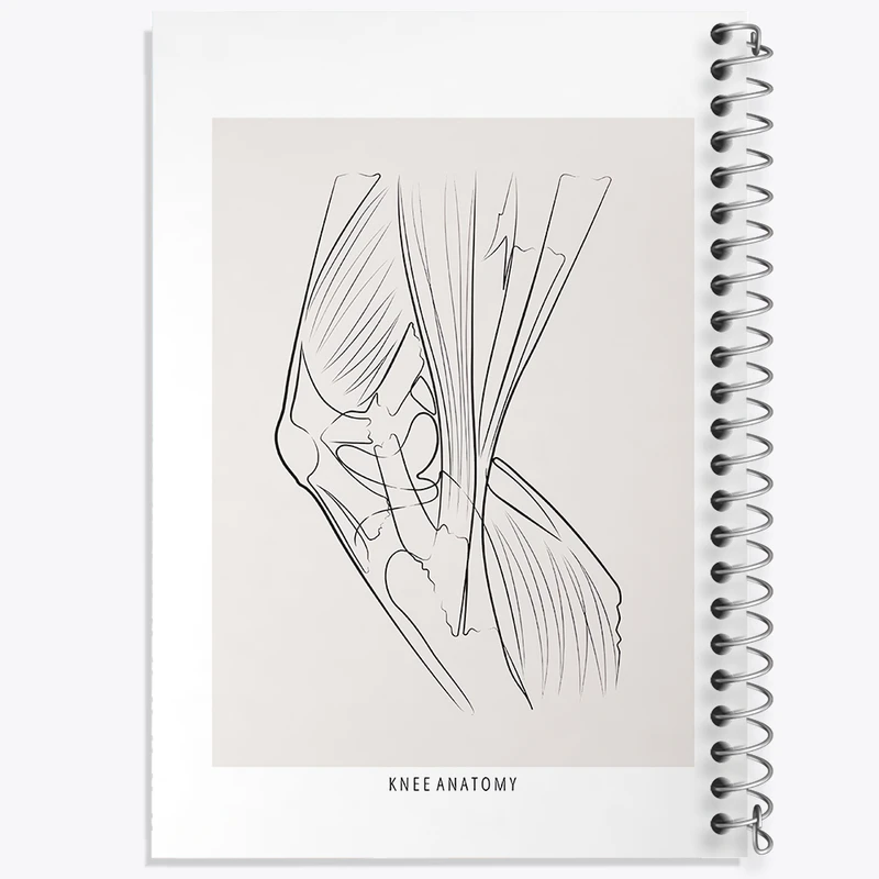 دفتر نقاشی 50 برگ خندالو طرح آناتومی زانو (Knee Anatomy) کد F13925