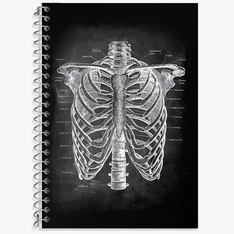 دفتر نت موسیقی 50 برگ خندالو طرح آناتومی قفسه سینه (Rib Cage Anatomy) کد F13958