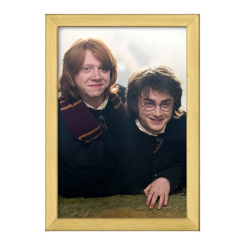 تابلو خندالو طرح هری و رون هری پاتر Harry Potter  کد 19350