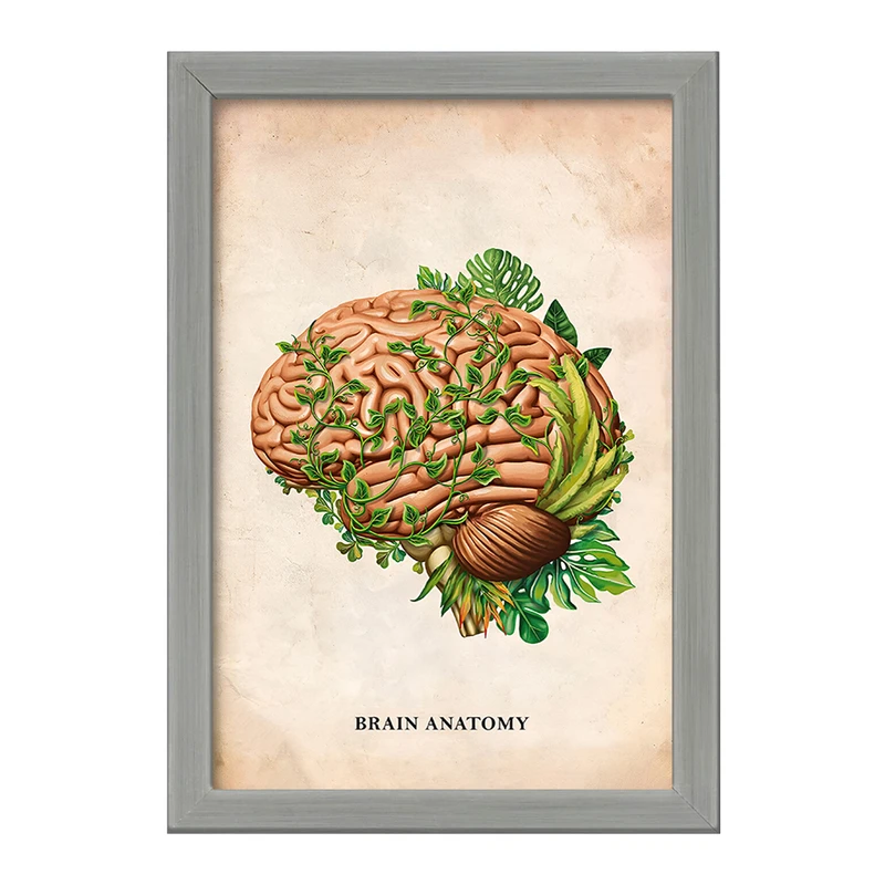 تابلو خندالو طرح آناتومی مغز (Brain Anatomy) کد F13984