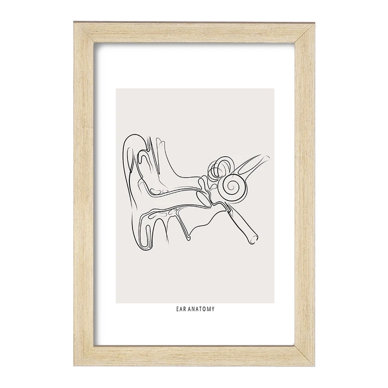 تابلو خندالو طرح آناتومی گوش (Ear Anatomy) کد F13932