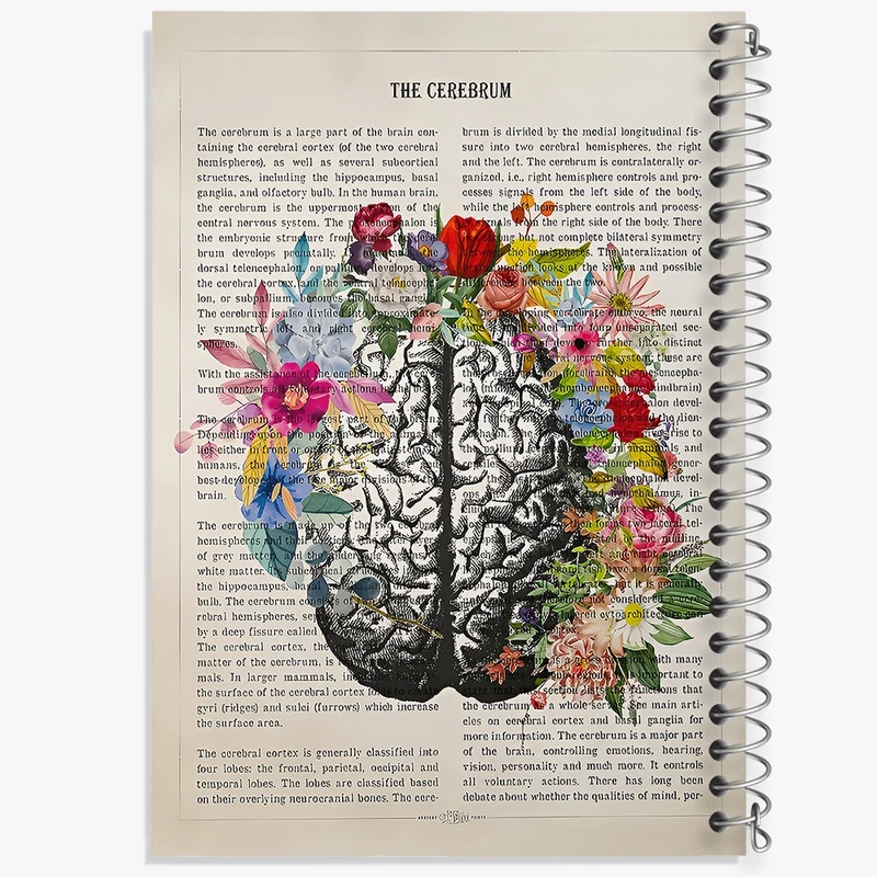 دفتر لیست خرید 50 برگ خندالو طرح مغز (Brain) کد F14045