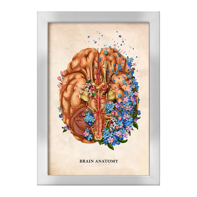 تابلو خندالو طرح آناتومی مغز (Brain Anatomy) کد F14008