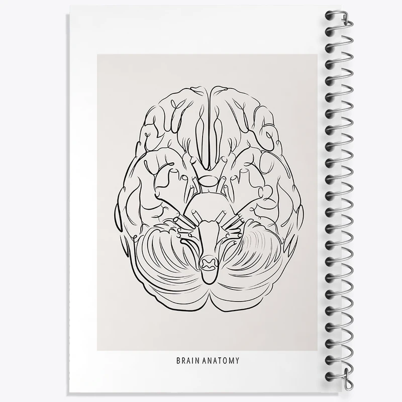 دفتر لیست خرید 50 برگ خندالو طرح آناتومی مغز (Brain Anatomy) کد F13890
