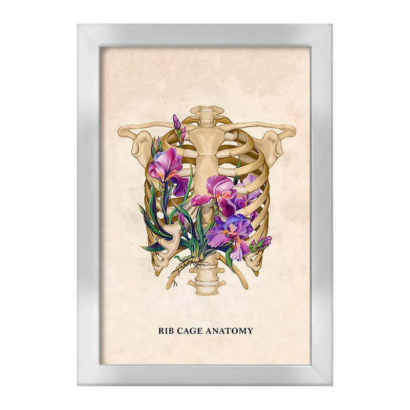تابلو خندالو طرح آناتومی قفسه سینه (Rib Cage Anatomy) کد F14029