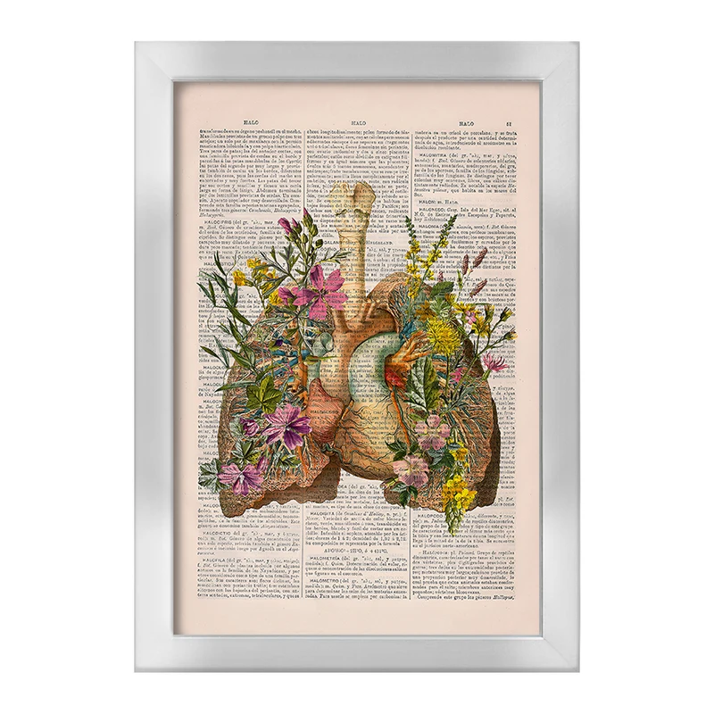 تابلو خندالو طرح آناتومی ریه ها (Lungs Anatomy) کد F14040