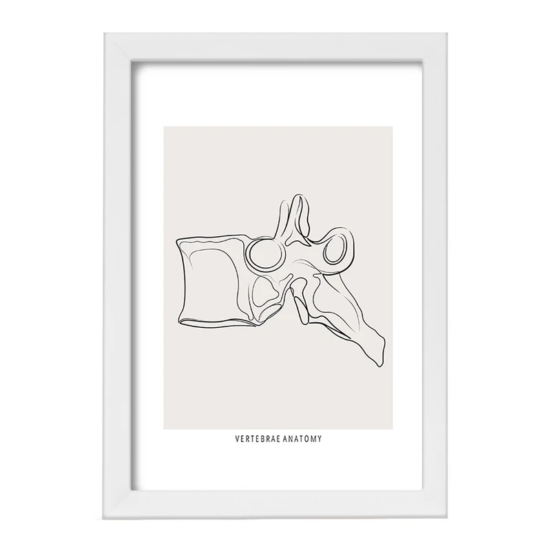 تابلو خندالو طرح آناتومی مهره ها (Vertebrae Anatomy) کد F13911