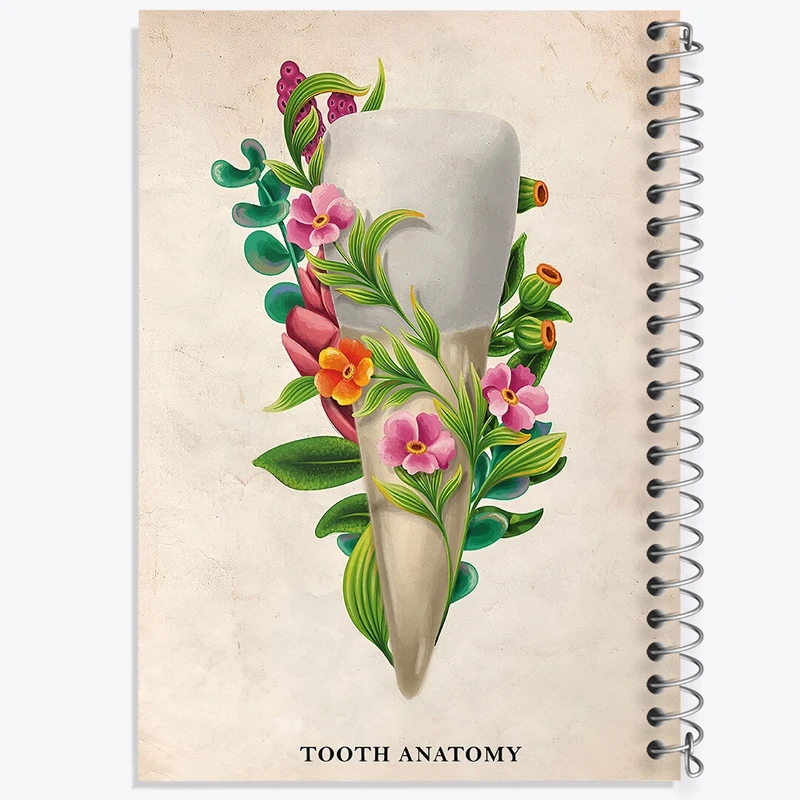 دفتر ژورنال نویسی 50 برگ خندالو مدل نقطه ای طرح آناتومی دندان (Tooth Anatomy) کد F13982