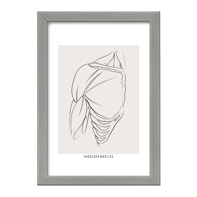 تابلو خندالو طرح عضلات شانه (Shoulder Muscles) کد F13927