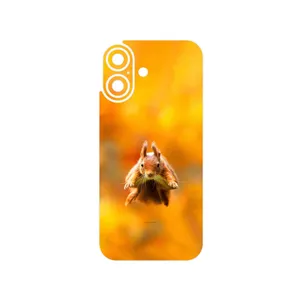 MAHOOT Squirrel Cover Sticker for Apple iPhone 17
