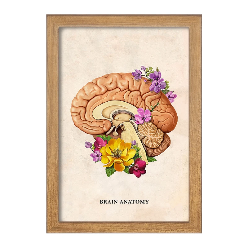 تابلو خندالو طرح آناتومی مغز (Brain Anatomy) کد F14028