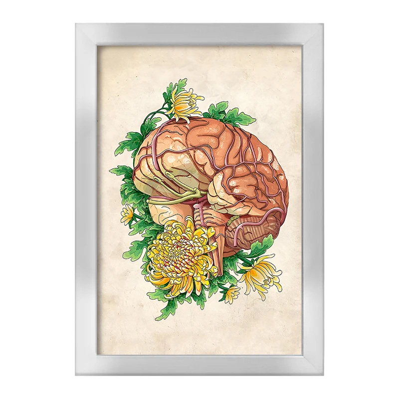 تابلو خندالو طرح آناتومی مغز (Brain Anatomy) کد F13997