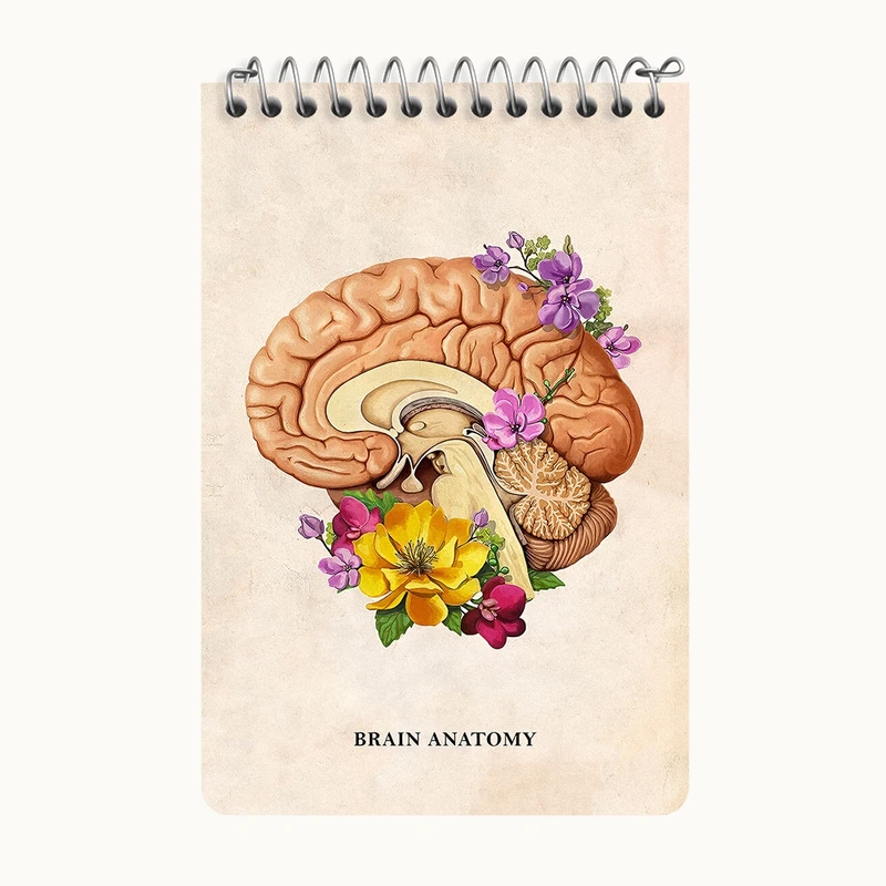 دفتر یادداشت 50 برگ خندالو طرح آناتومی مغز (Brain Anatomy) کد F14028