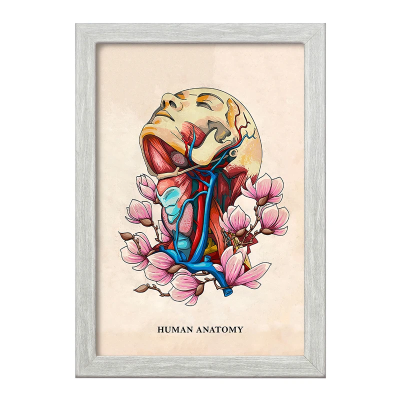 تابلو خندالو طرح آناتومی انسان (Human Anatomy) کد F14017