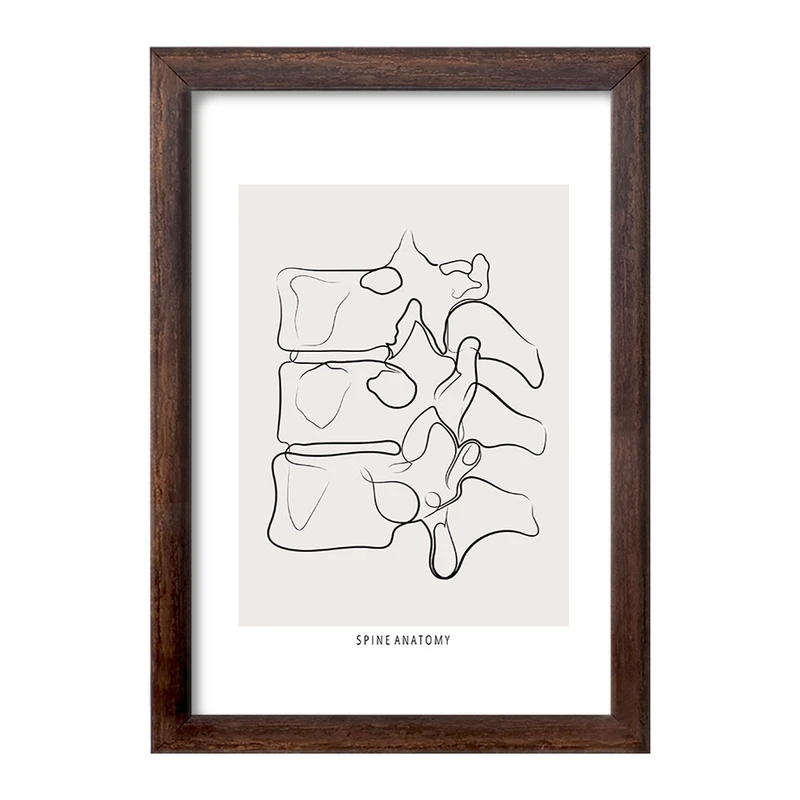 تابلو خندالو طرح آناتومی ستون فقرات (Spine Anatomy) کد F13910