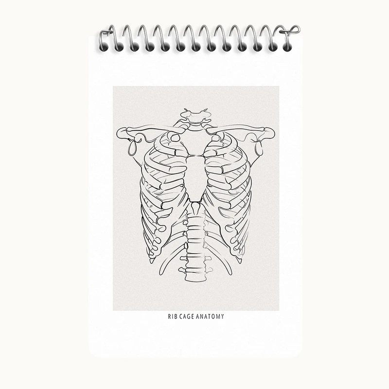 دفتر یادداشت 50 برگ خندالو طرح آناتومی قفسه سینه (Rib Cage Anatomy) کد F13920
