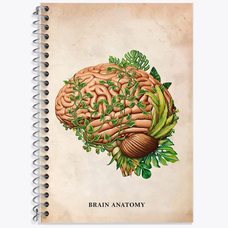 دفتر لغت 50 برگ خندالو طرح آناتومی مغز (Brain Anatomy) کد F13984