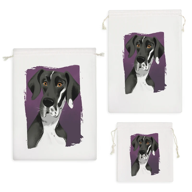 نظم دهنده خندالو مدل سگ نژاد گریت دین کد 2892 مجموعه 3 عددی