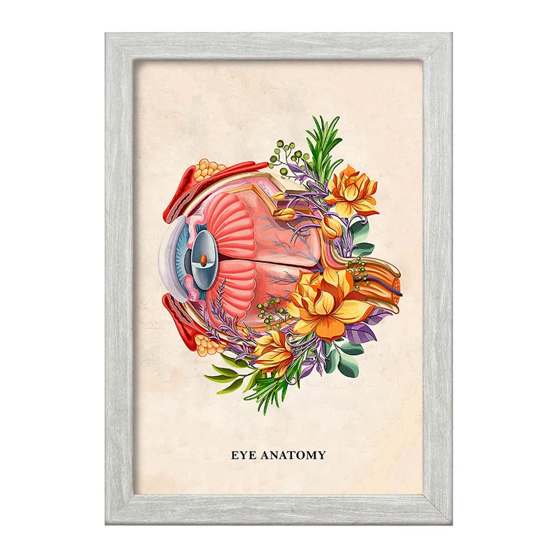 تابلو خندالو طرح آناتومی چشم (Eye Anatomy) کد F14014