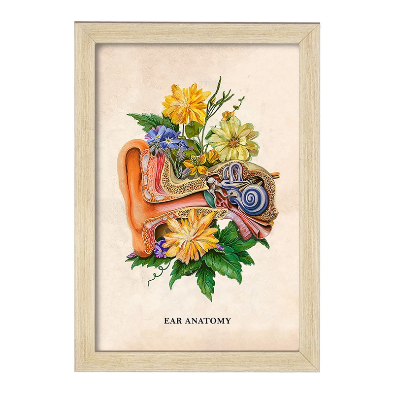 تابلو خندالو طرح آناتومی گوش (Ear Anatomy) کد F14021
