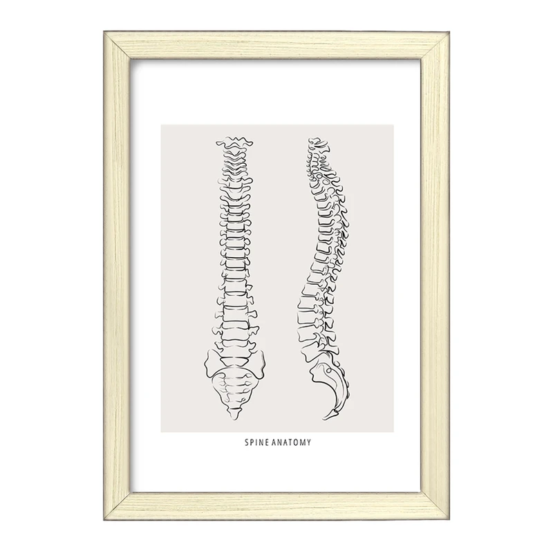 تابلو خندالو طرح آناتومی ستون فقرات (Spine Anatomy) کد F13909