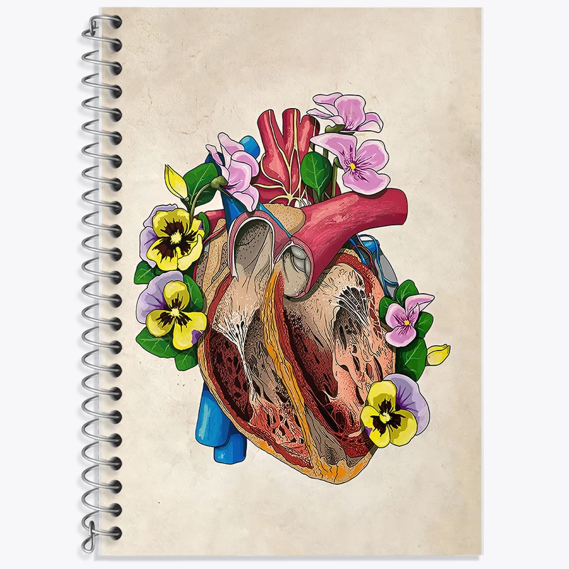 دفتر زبان 50 برگ خندالو مدل دو خط طرح آناتومی قلب (Heart Anatomy) کد F14010