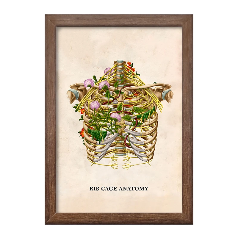 تابلو خندالو طرح آناتومی قفسه سینه (Rib Cage Anatomy) کد F13995