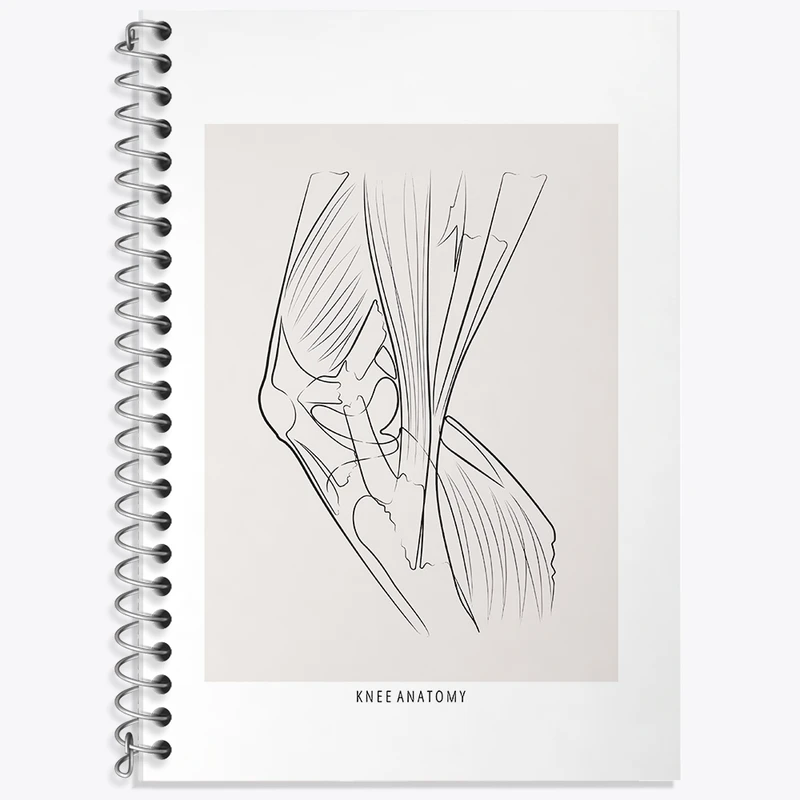 دفتر زبان 50 برگ خندالو مدل سه خط طرح آناتومی زانو (Knee Anatomy) کد F13925