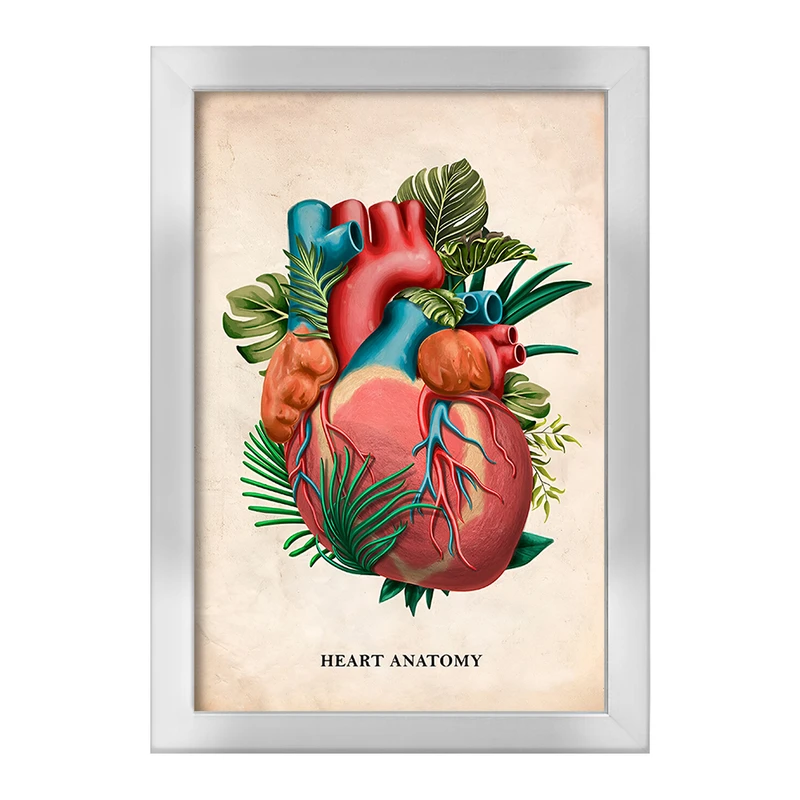 تابلو خندالو طرح آناتومی قلب (Heart Anatomy) کد F13986