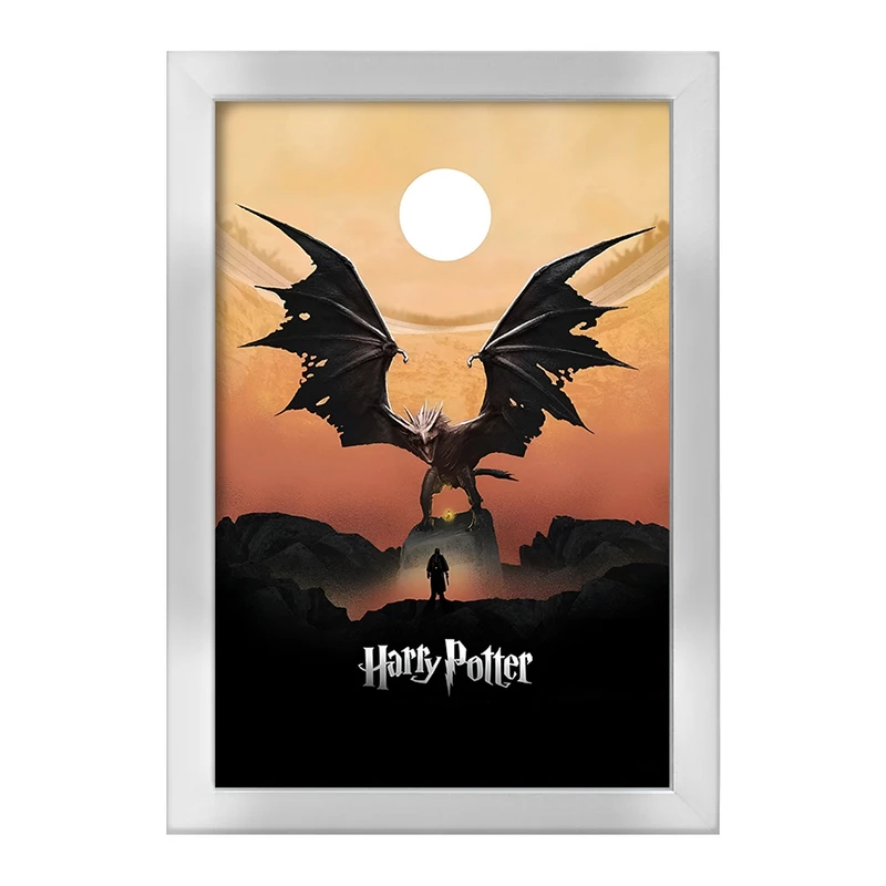 تابلو خندالو طرح هری پاتر (Harry Potter) کد F4450