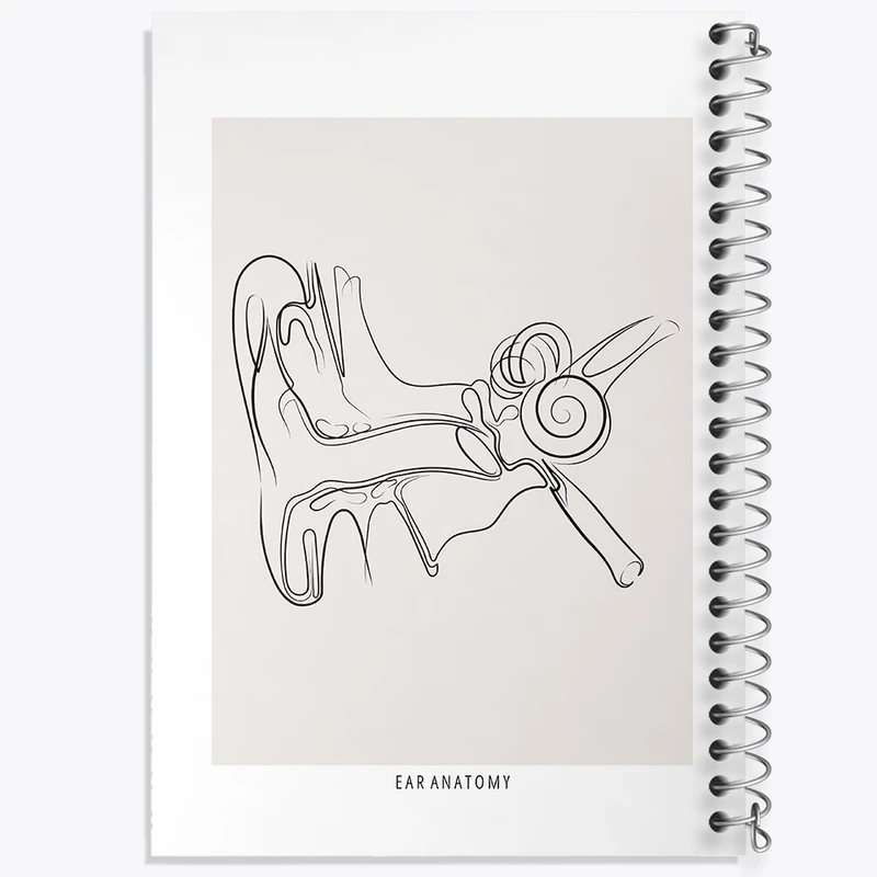 دفتر مشق 100 برگ خندالو طرح آناتومی گوش (Ear Anatomy) کد F13932