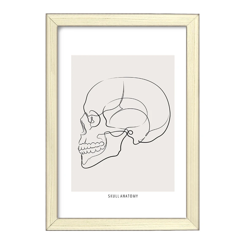 تابلو خندالو طرح آناتومی اسکلت سر از نیم رخ کد F13894