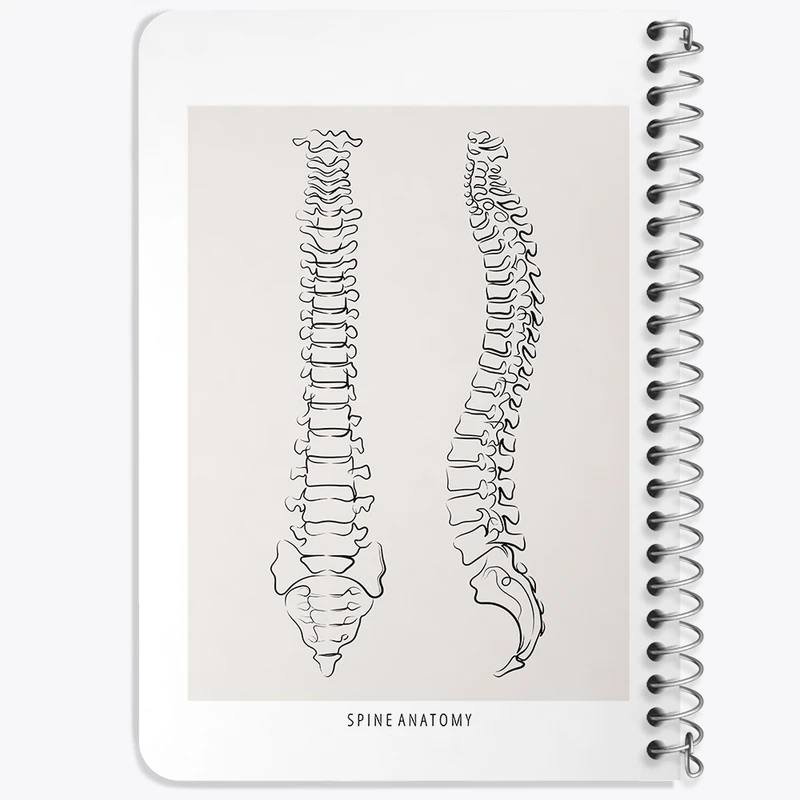 دفتر یادداشت 50 برگ خندالو طرح آناتومی ستون فقرات (Spine Anatomy) کد F13909