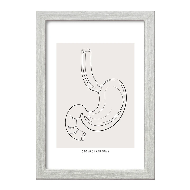 تابلو خندالو طرح آناتومی معده (Stomach Anatomy) کد F13904