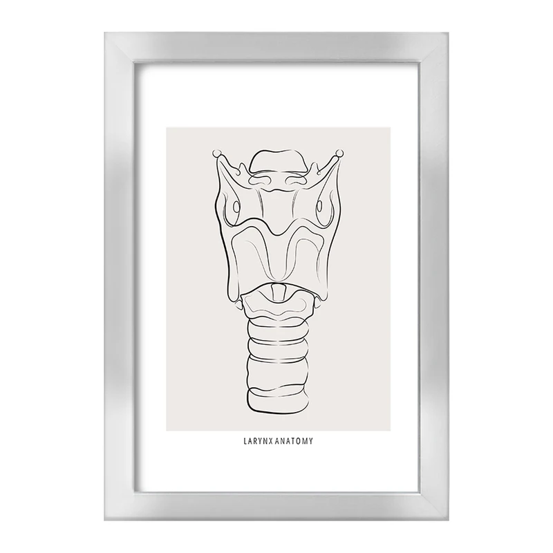 تابلو خندالو طرح آناتومی حنجره (Larynx Anatomy) کد F13908