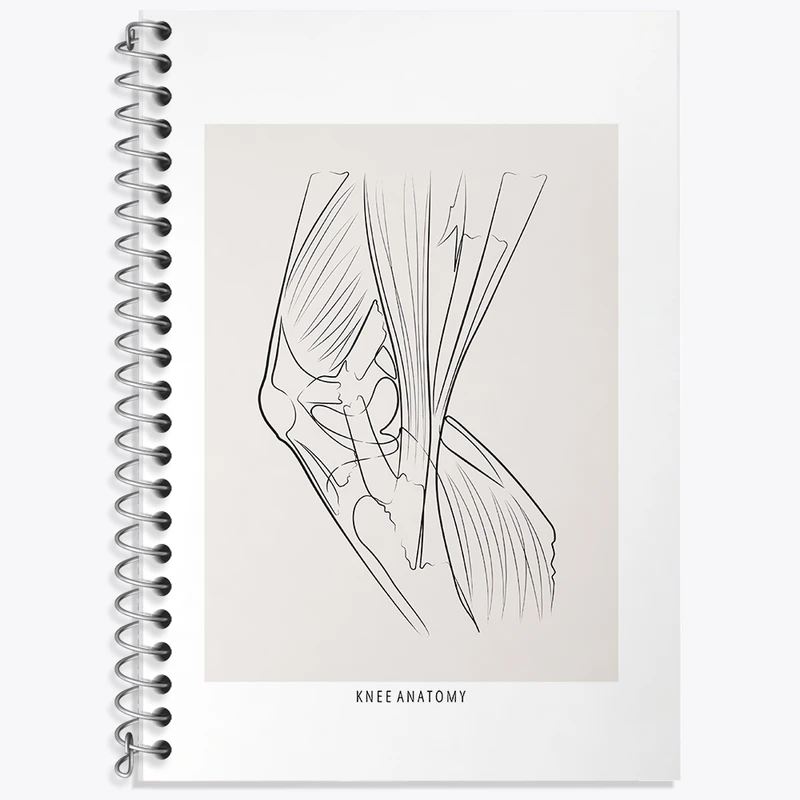 دفتر نت موسیقی 50 برگ خندالو طرح آناتومی زانو (Knee Anatomy) کد F13925