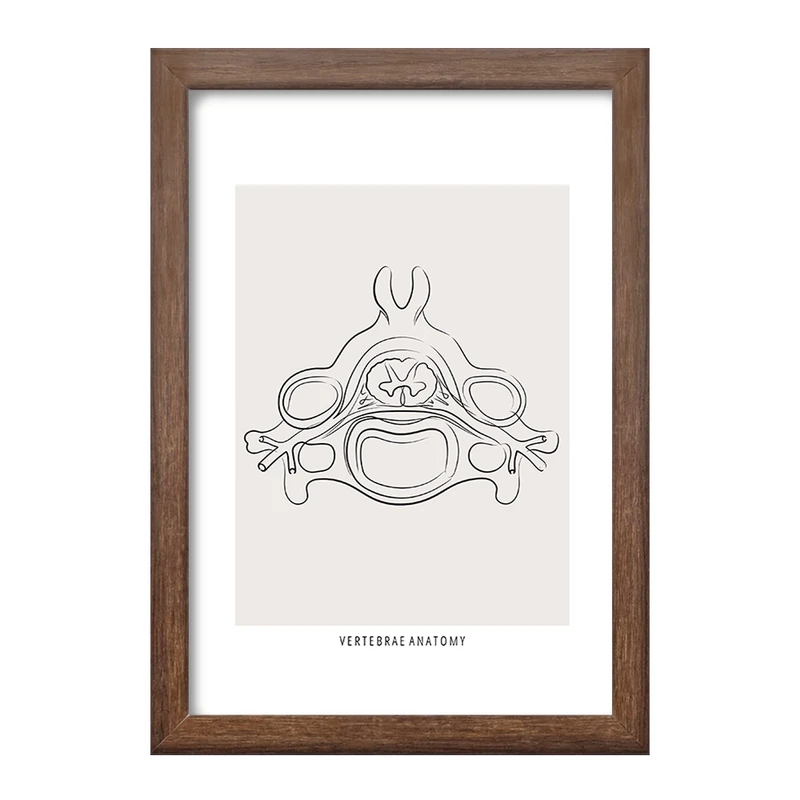 تابلو خندالو طرح آناتومی مهره ها (Vertebrae Anatomy) کد F13905