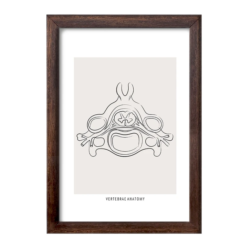 تابلو خندالو طرح آناتومی مهره ها (Vertebrae Anatomy) کد F13905