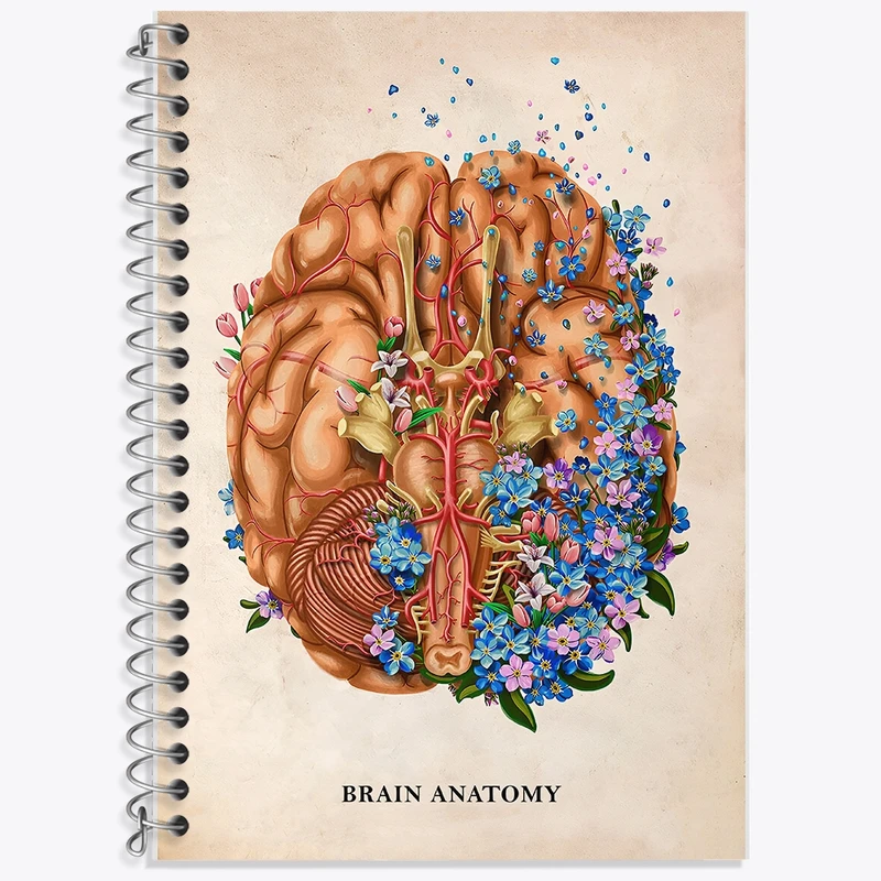 دفتر لغت 50 برگ خندالو طرح آناتومی مغز (Brain Anatomy) کد F14008