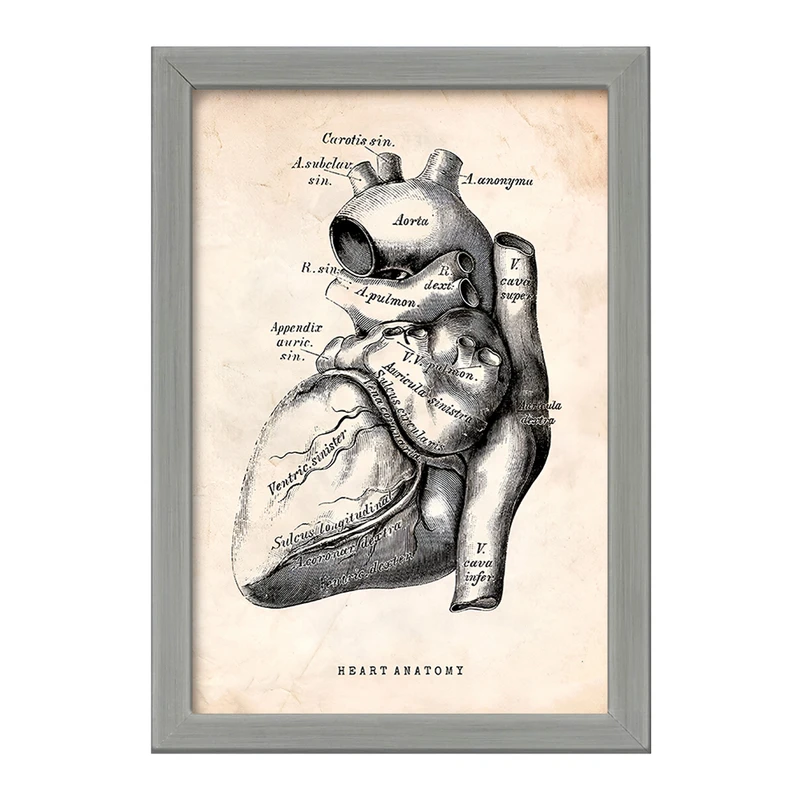 تابلو خندالو طرح آناتومی قلب (Heart Anatomy) کد F13944