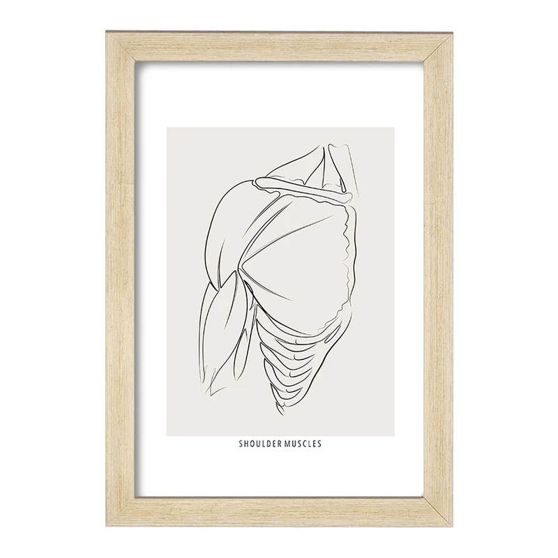 تابلو خندالو طرح عضلات شانه (Shoulder Muscles) کد F13927