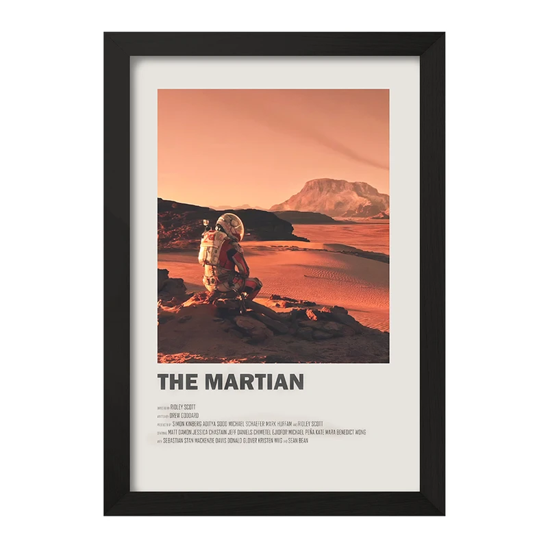 تابلو خندالو طرح مریخی (The Martian) کد F13279