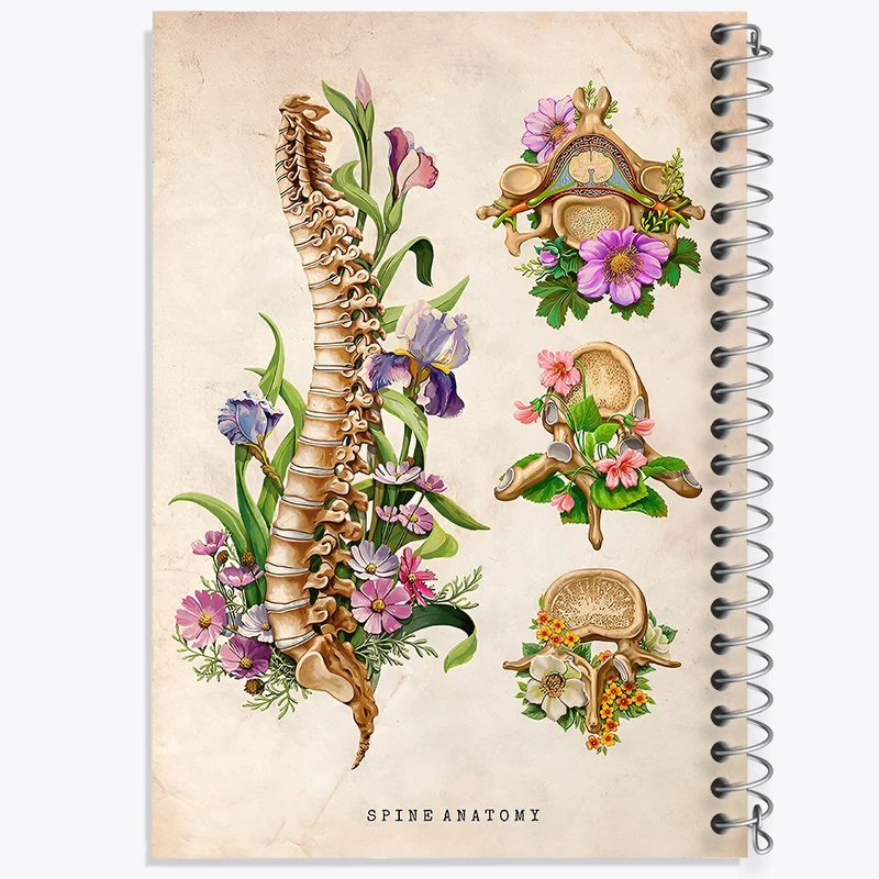 دفتر شطرنجی 50 برگ خندالو طرح آناتومی ستون فقرات (Spine Anatomy) کد F13967