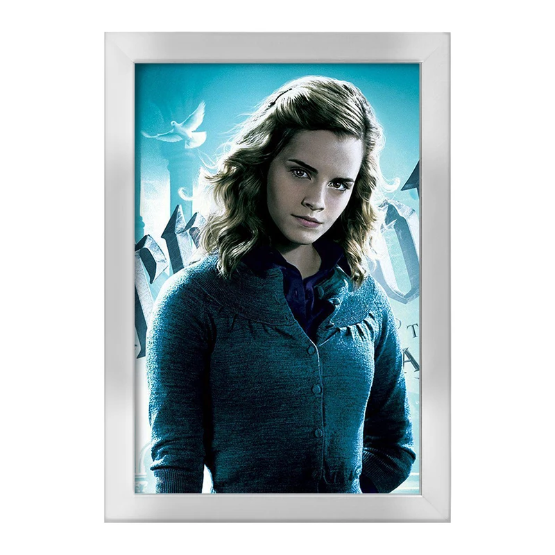 تابلو خندالو طرح هری پاتر هرمیون گرانجر کد 24903