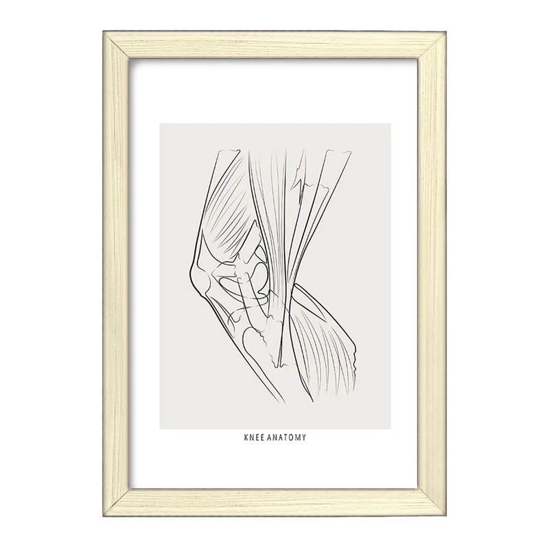 تابلو خندالو طرح آناتومی زانو (Knee Anatomy) کد F13925