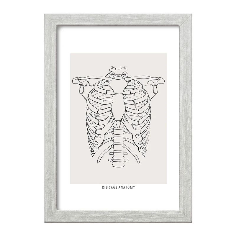 تابلو خندالو طرح آناتومی قفسه سینه (Rib Cage Anatomy) کد F13920